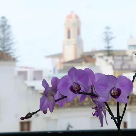 Casa Maria Apartamento Centrico Con Terraza Appartamento *