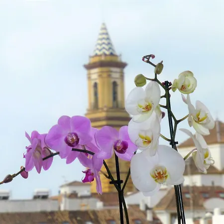 Casa Maria Apartamento Centrico Con Terraza Διαμέρισμα