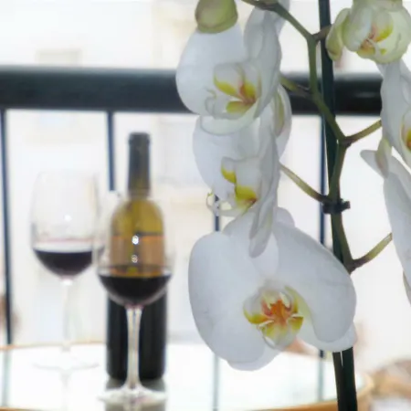 Casa Maria Apartamento Centrico Con Terraza Διαμέρισμα