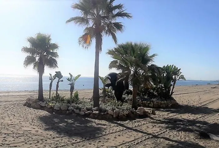 Casa Maria Centrico Con Terraza 아파트 에스테포나