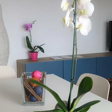 Casa Maria Apartamento Centrico Con Terraza